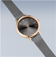 Orologio Bering Donna in Acciaio 13434-369 - 13434-369